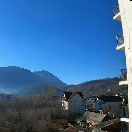 Panoramic Residence Zărneşti Exterior foto
